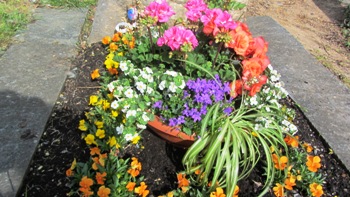 Fr&uuml;hlingsgru&szlig;